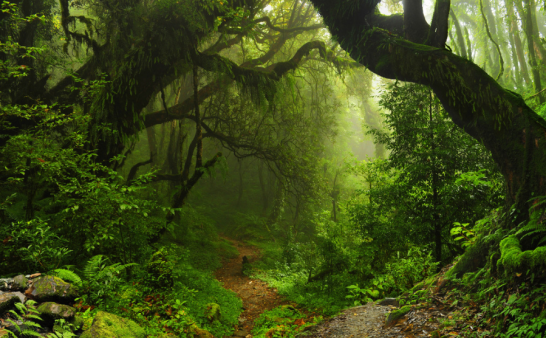不信邪的老高头。。。