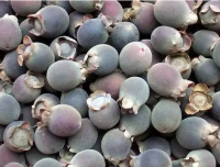 山里长得很奇怪的女人