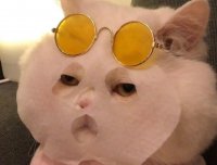 午间鬼话之离家惊魂