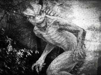 美国目击“蜥蜴人”事件