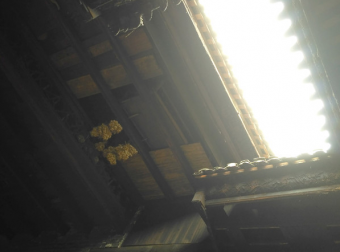 离世的眼瞳
