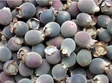 山里长得很奇怪的女人