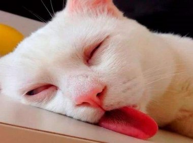 每次午睡就会被魇到