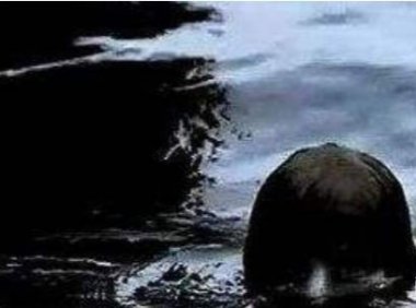 我和它的交流！