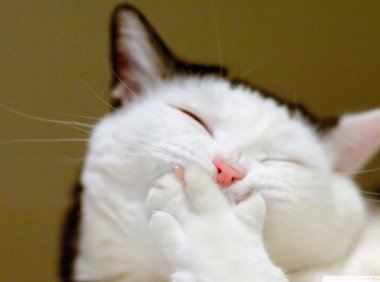 年龄小真的可以看见某些东西吗！