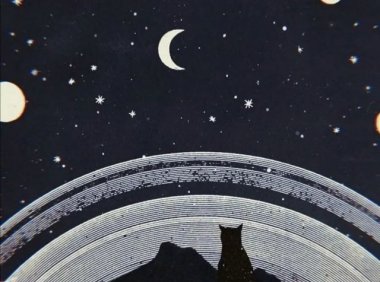 关于黑猫那些年的那些事儿