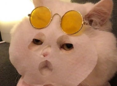 午间鬼话之离家惊魂