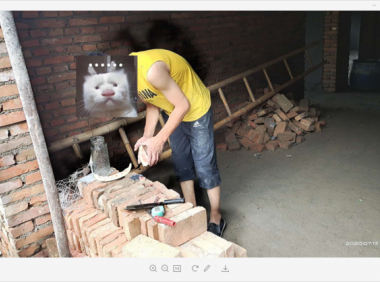 猫十七：新房里面拍照片