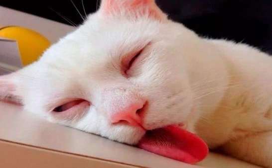 每次午睡就会被魇到