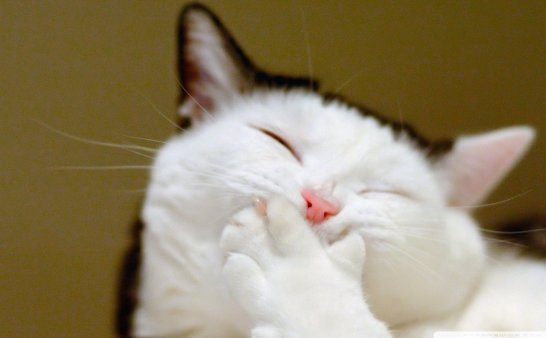 年龄小真的可以看见某些东西吗！