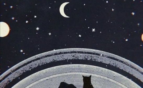 关于黑猫那些年的那些事儿