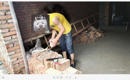 猫十七:新房里面拍照片