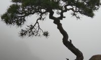关于生2