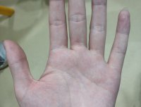 有大师能看下我手相的嘛