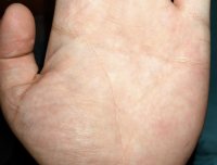 看看手相 求求大师了