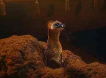 黄皮子附身邻嫂子