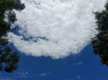 又一个奇怪的飞行物