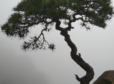 关于生2
