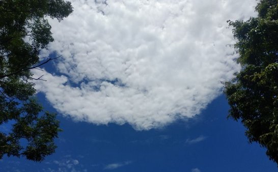 又一个奇怪的飞行物