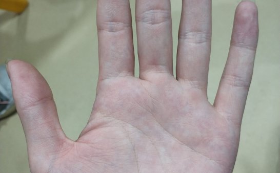 有大师能看下我手相的嘛