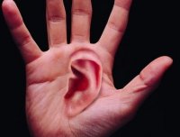 耳病的根源找到了。。。。。