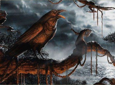 人去世前乌鸦在天上飞