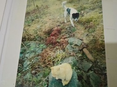 眼睛能穿透一切的视线