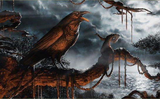 人去世前乌鸦在天上飞