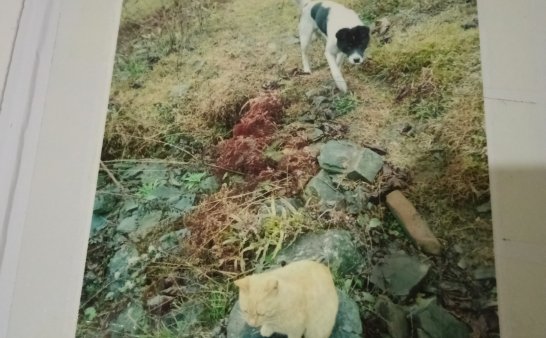 眼睛能穿透一切的视线