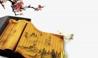 我做的那些梦——老奶奶