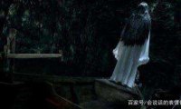 开墓火化