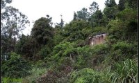 鬼话怪谈——吐月山空屋(长篇故事)3