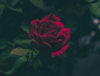“抬不动”的棺材