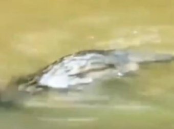 揭秘河中的“水鬼”之迷