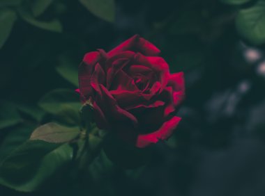 “抬不动”的棺材