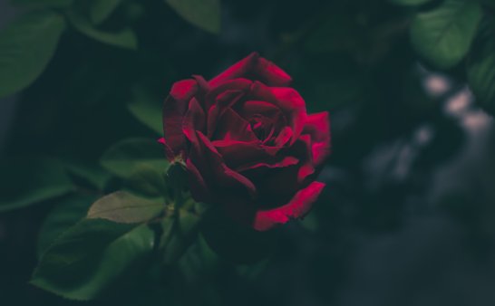 “抬不动”的棺材