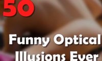 50张第一眼一定会看错的照片