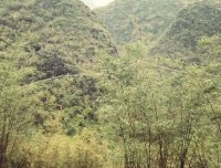 山村故事——山间小路