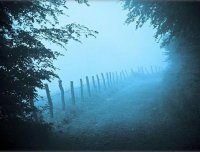 能预见身边（接触过的）之人死亡