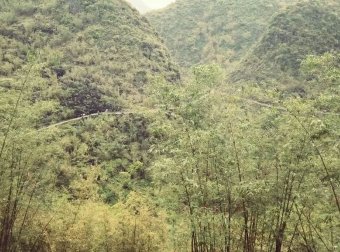 山村故事——山间小路