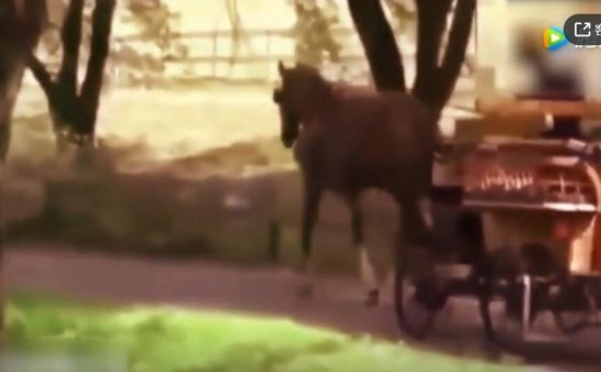 监控拍到了行走马车诡异画面,晚上千万别打开