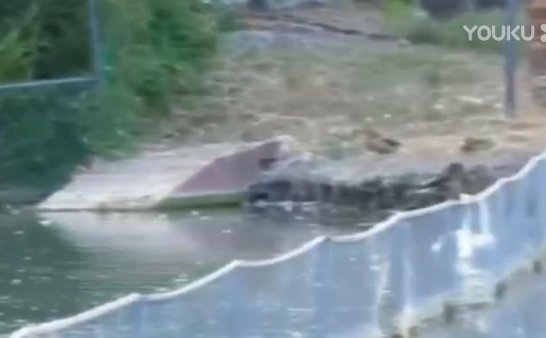 被拍下的灵异事件 无法直视地看完了