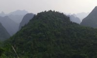 深山异事