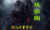 夜猫子进宅