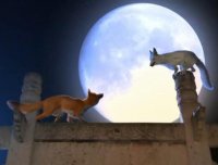 沈阳北陵狐仙轶闻