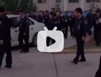 考驾照迷惑行为图鉴