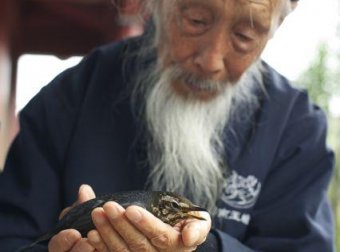 推荐一种老少皆宜的健身气功
