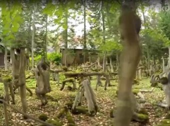 全球最恐怖公园，遍地都是“诡异”雕像，游客见了瞬间惊慌！