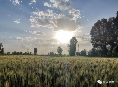 外爷故事(一):戏魂