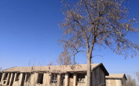 吊死鬼（二）：磨坊里上吊的女人